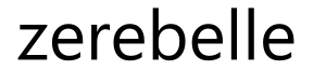 zerebelle